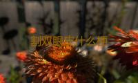 割双眼皮什么梗 